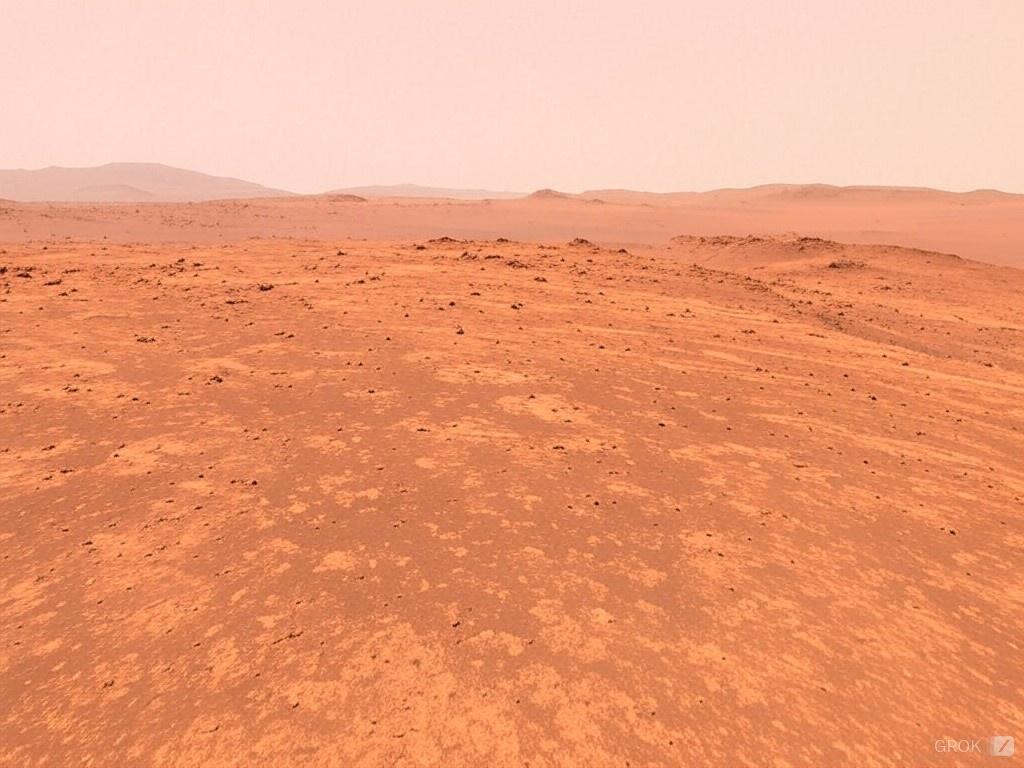 Froid, radiations, atmosphère toxique : Mars est inhospitalière, mais cette espèce terrestre pourrait y prospérer