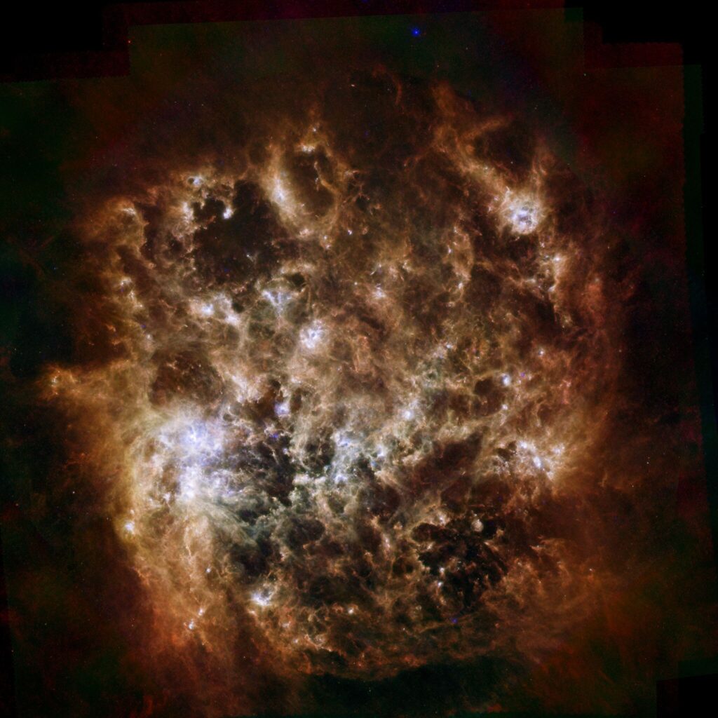 Trinh Xuan Thuan, astrophysicien : «Si nous sommes là, c’est que nous ne sommes pas seuls dans l’univers»