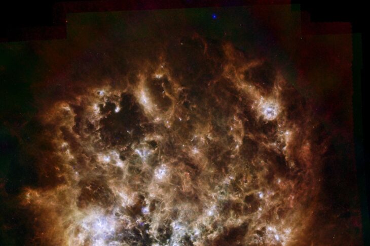 Trinh Xuan Thuan, astrophysicien : «Si nous sommes là, c’est que nous ne sommes pas seuls dans l’univers»