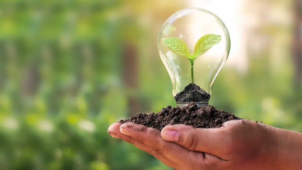 Eco Innovation – Pioneering Solutions for a Sustainable Future (14 Minutes)