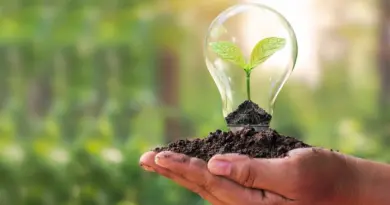 Eco Innovation – Pioneering Solutions for a Sustainable Future (14 Minutes)