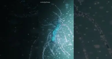 JWST a ENFIN trouvé une vie extraterrestre ?!