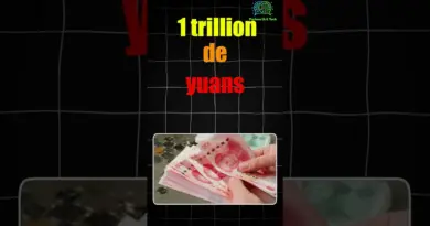 La Chine Investit Massivement dans les Robots 🤖 | La Révolution a Déjà Commencé !