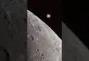 Relative size of Jupiter and the Moon as seen from earth #jupiter #moon #telescope #space