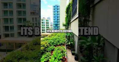 The Eco-Innovation of Recycled Rubber Paving