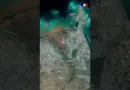 Un petit État qui joue avec les grands ! 💪