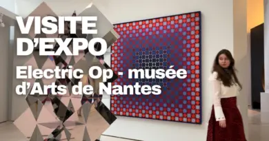 VISITE D’EXPO : Art cinétique ou art numérique ? Electric Op au musée d’Arts de Nantes !