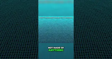What’s a Quantum Field Made of?