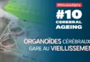 #10 Cerebral Ageing | Les expériences françaises à bord de l’ISS