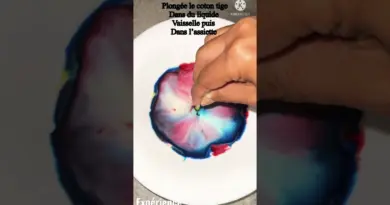 28K Expérience avec du lait colorants coton tige et liquide vaisselle