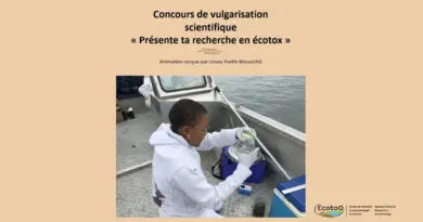 2e concours de vulgarisation scientifique EcotoQ – Présente ta recherche en écotox | Linsey Mouatcho