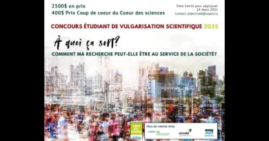 2e place Concours étudiant de vulgarisation scientifique du Pôle ISE-CIRODD-RIISQ 2025