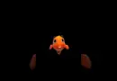 3D hologram video 3d hologram 3d hologram video