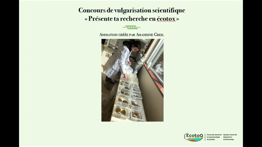 3e concours de vulgarisation scientifique – Amandine Greil