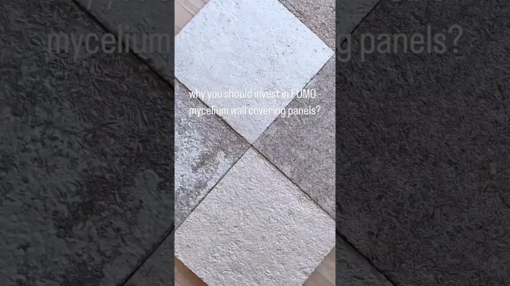 4 Reasons Why You Should Invest In Fumo Panels
