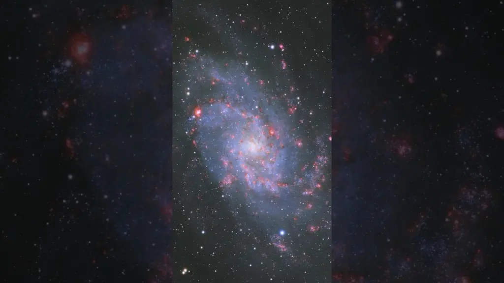 49 hours of exposure of the Triangulum Galaxy (M33) #traingulum #galaxy #space #telescope