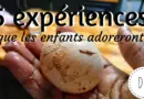 5 expériences scientifiques à faire à la maison que les enfants adoreront #Éveillerleurcuriosité