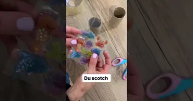🐬✨ACTIVITÉ : UN PROJECTEUR À MOINS DE 1€ ! (DIY) ✨🦀 #diy #activités #jeu #bébé