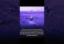 AI & Drones Revolutionize Reforestation in India | Eco-Tech Innovation