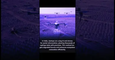 AI & Drones Revolutionize Reforestation in India | Eco-Tech Innovation
