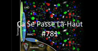 [Astrophysique] Des étoiles à neutrons hybrides avec un cœur de plasma quarks-gluons