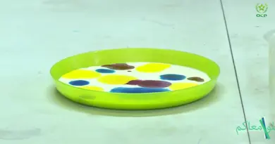 Atelier scientifique pour enfants – Episode 1