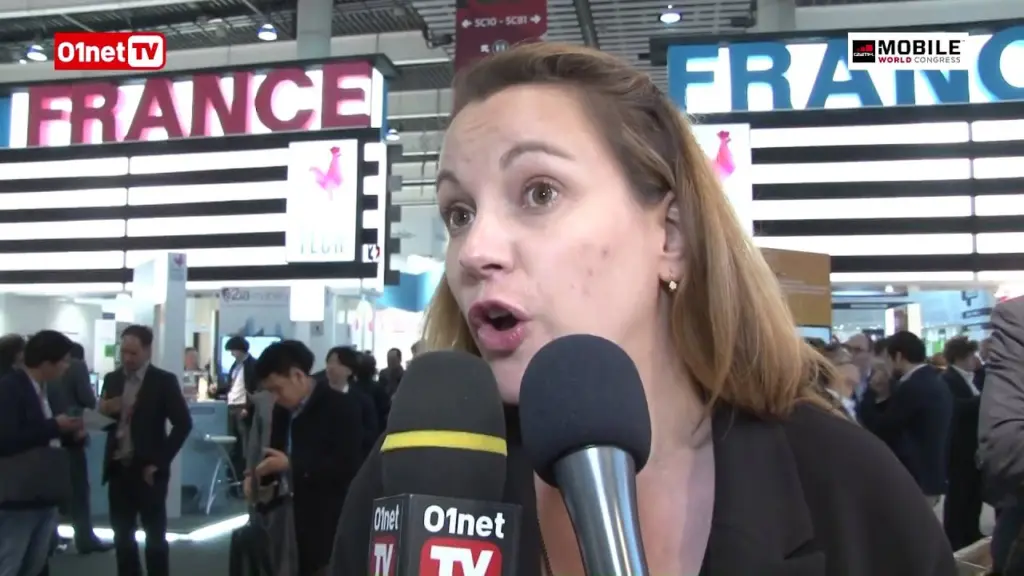 Axelle Lemaire : « il faut un principe européen de neutralité du Net »