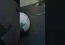 Ballon eau figée magique #expérience #science