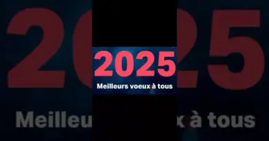 Bilan droit numérique 2024. #droit #internet #communication #loi #liberté #sécurité #avocat