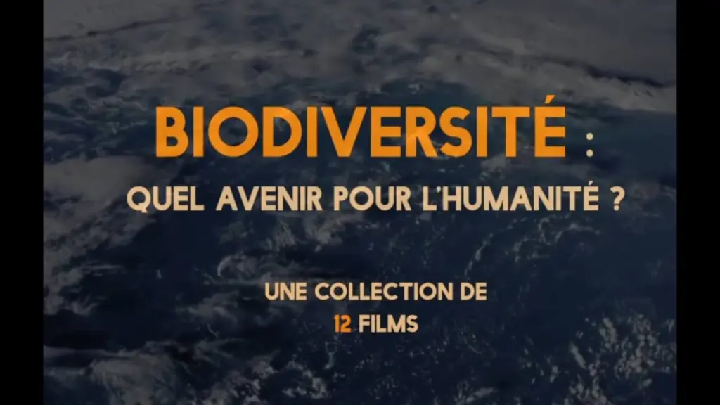 Biodiversité : Quel avenir pour l’humanité ?