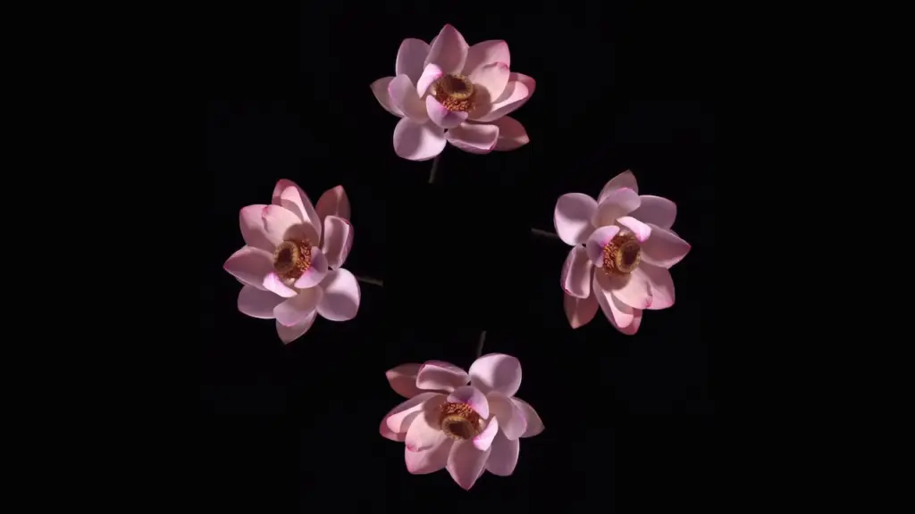 Blooming Flowers – Pyramid Hologram Screen Up