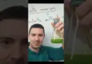 Bouteille multicolore – Expérience de physique – chimie ! #experiences#chimie #lycée