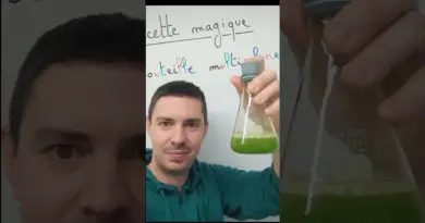 Bouteille multicolore – Expérience de physique – chimie ! #experiences#chimie #lycée