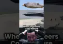 B‑2 Spirit vs Peregrine Falcon: Biomimicry in Action 🦅 | Stealth Bomber Inspired by Nature 🌍