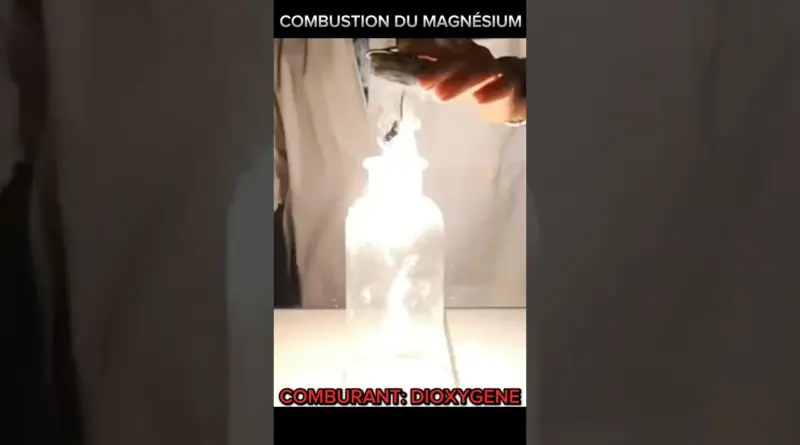 COMBUSTION DU MAGNÉSIUM DANS DU DIOXYGÈNE. #experiment #experiences #combustion #chimie #chemistry