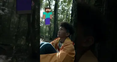 Ca fait quoi si je nomme une seed « Herobrine » ??
