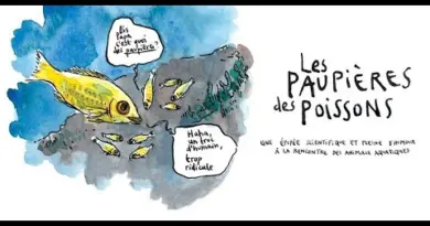 Case 1 : POURQUOI la BD de vulgarisation scientifique ?