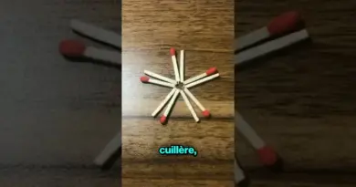 Ce Professeur de Chimie a Tenté une  Drôle Expérience 🧪