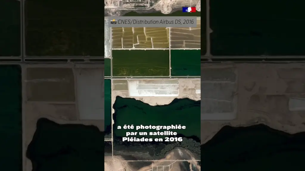 Ceci n’est pas une BD contemplative, mais une ferme aquacole 🦐🐟🦪 à Alexandrie depuis l’espace 🛰️