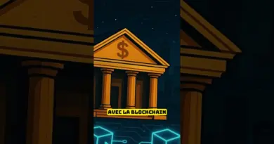 C’est quoi la #blockchain en 1 min : Explication Simple et Rapide #cryptofr #bitcoin