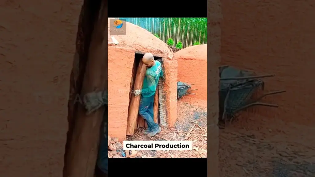 Charcoal Production in Brazil ll బ్రెజిల్‌లో బొగ్గు ఉత్పత్తి ll TOT FACTS