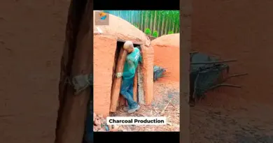 Charcoal Production in Brazil ll బ్రెజిల్‌లో బొగ్గు ఉత్పత్తి ll TOT FACTS