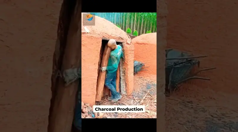 Charcoal Production in Brazil ll బ్రెజిల్‌లో బొగ్గు ఉత్పత్తి ll TOT FACTS