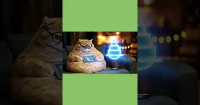 Chat hologramme #chat #cat #hologramme #lumière #gateau#pièce montée #futuriste #manger #ia