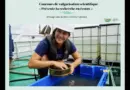 Concours de vulgarisation EcotoQ – Présente ta recherche en écotox | Marie-Christine Lafrenière