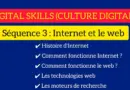 DIGITAL SKILLS (CULTURE DIGITALE) S2 / Séquence 3 : Internet et le web