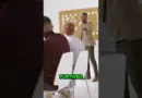 Découvrez Furtiveo