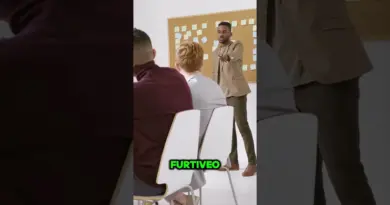 Découvrez Furtiveo