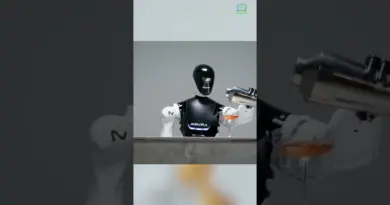 Des robots avec un cerveau humain ? C’est déjà réel