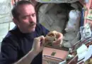 Dîner extraterrestre – Que mange-t-on à bord de l’ISS ?